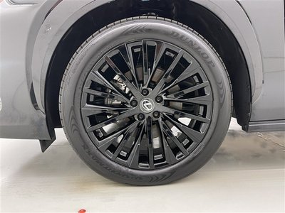 2023 Lexus RZ 照片 8