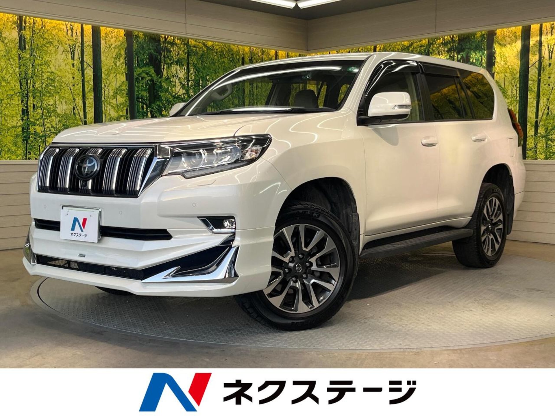 TOYOTA LAND CRUISER PRADO - View 1