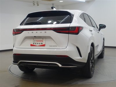 LEXUS NX - 8