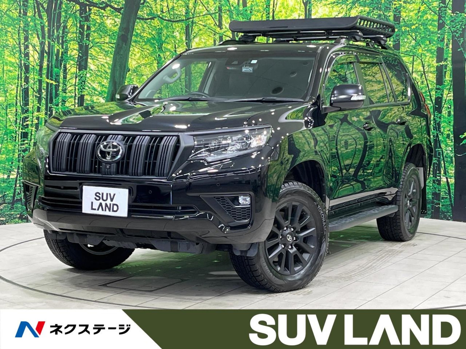 TOYOTA LAND CRUISER PRADO - View 1