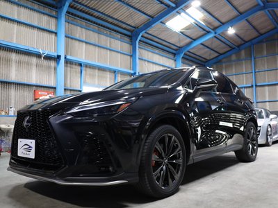 LEXUS NX - 1