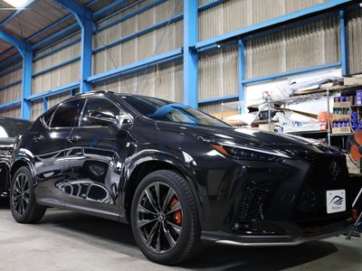 LEXUS NX - 4
