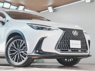 صورة مصغرة 60 لـ 2022 Lexus NX