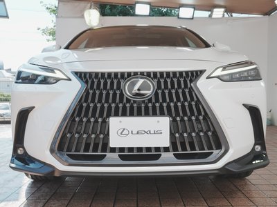 صورة 10 لـ 2022 Lexus NX