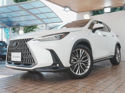 صورة مصغرة 75 لـ 2022 Lexus NX