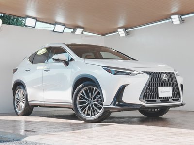 صورة مصغرة 74 لـ 2022 Lexus NX