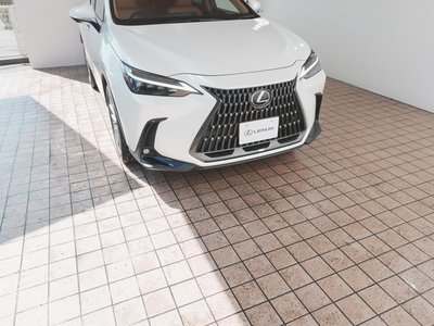 صورة مصغرة 12 لـ 2022 Lexus NX