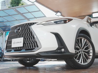 صورة مصغرة 61 لـ 2022 Lexus NX