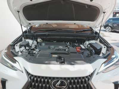 صورة مصغرة 14 لـ 2022 Lexus NX