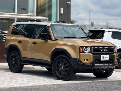 TOYOTA LAND CRUISER 250 - 9