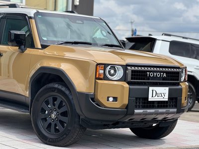 TOYOTA LAND CRUISER 250 - 10