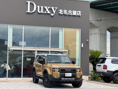 TOYOTA LAND CRUISER 250 - 8