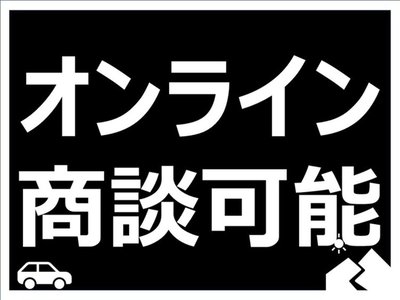 2024 TOYOTA ALPHARD 照片 4