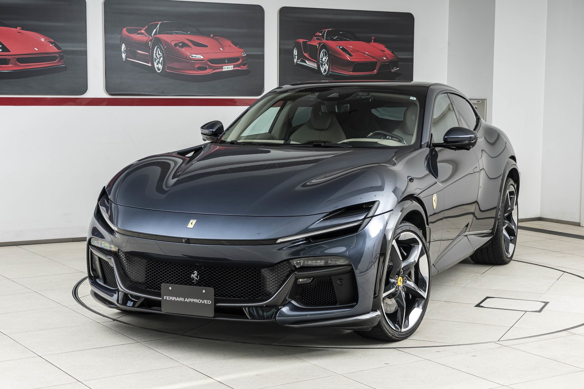 FERRARI PUROSANGUE - View 1