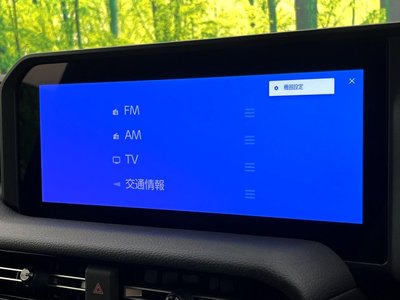 2025 Toyota LAND CRUISER 250 — миниатюра 38