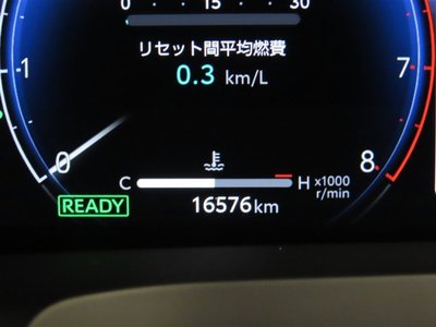 2024 TOYOTA ALPHARD 缩略图 21
