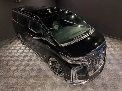 TOYOTA ALPHARD - 8