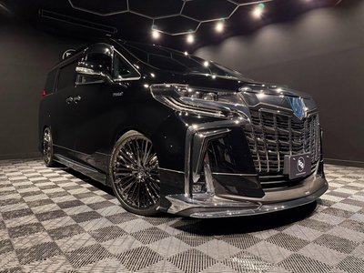 TOYOTA ALPHARD - 10