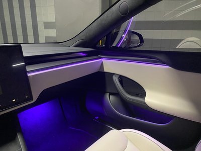 2024 Tesla MODEL S photo 9