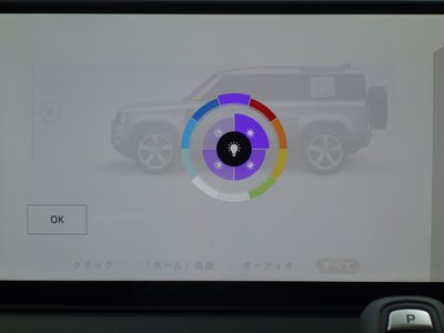 2025 LAND Rover DEFENDER 缩略图 38