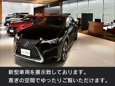 2023 Lexus NX 缩略图 23