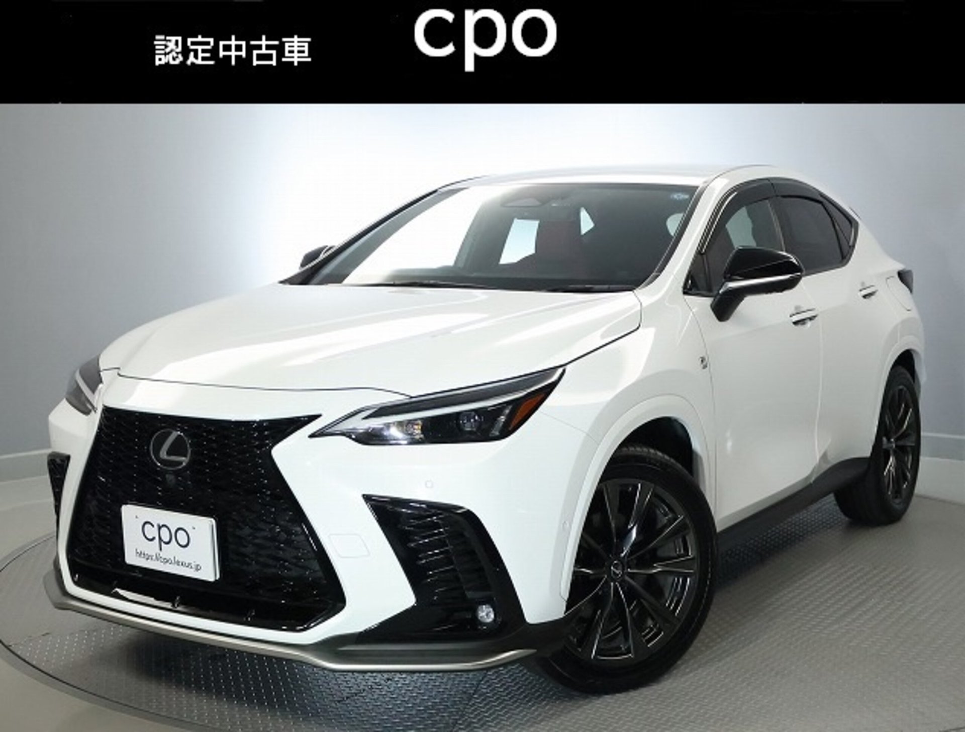 2023 Lexus NX 照片 1