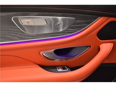 2022 Mercedes-BENZ GT AMG 缩略图 18