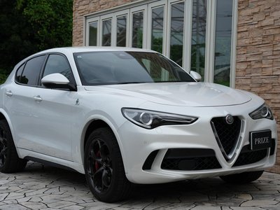 صورة 8 لـ 2019 ALFA Romeo STELVIO