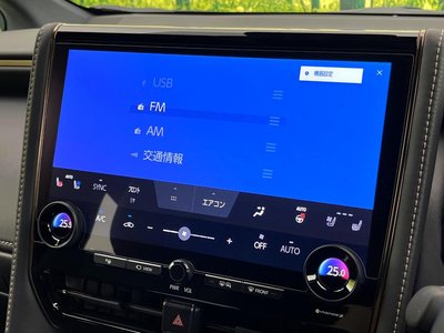 2025 Toyota ALPHARD 缩略图 28