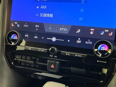 2025 Toyota ALPHARD 缩略图 30