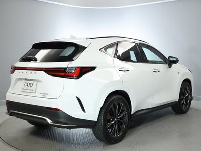 2024 Lexus NX — фото 10