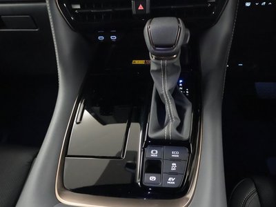 2024 TOYOTA ALPHARD 缩略图 13
