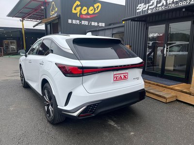 LEXUS RX - 6