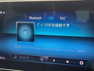 2021 Mercedes-BENZ GLE 缩略图 20