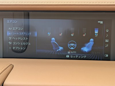 2020 Lexus LC CONVERTIBLE 缩略图 43