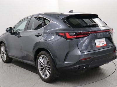 LEXUS NX - 4