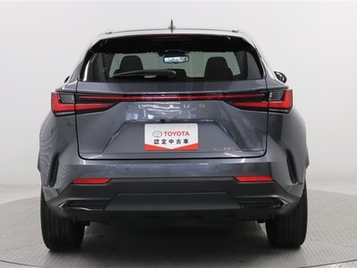 LEXUS NX - 10
