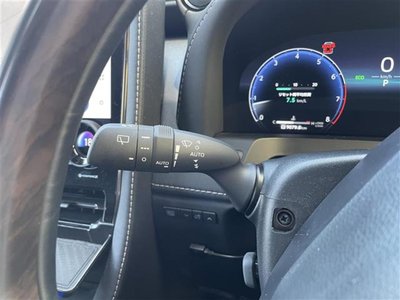 2024 Toyota ALPHARD 缩略图 19