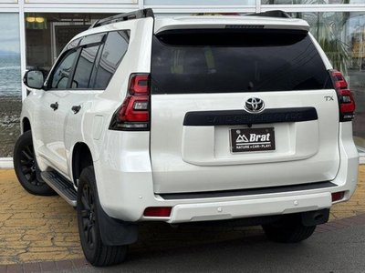 TOYOTA LAND CRUISER PRADO - 6