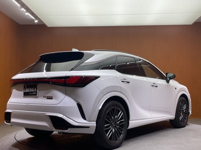 صورة مصغرة 59 لـ 2024 Lexus RX