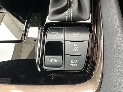 2024 TOYOTA ALPHARD 缩略图 12