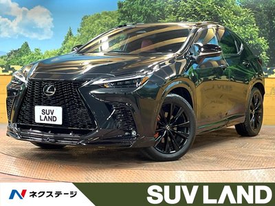 LEXUS NX - 1