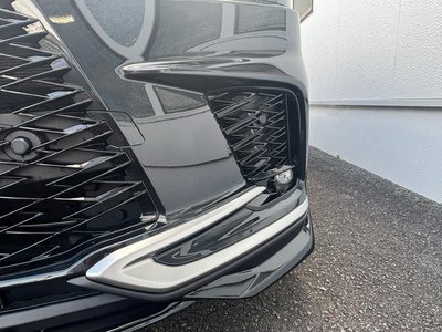 2025 Lexus RX — миниатюра 11