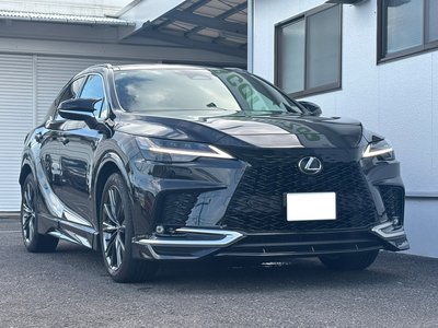 صورة 9 لـ 2025 Lexus RX