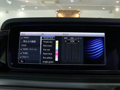 2020 Mercedes-BENZ G-CLASS 缩略图 11