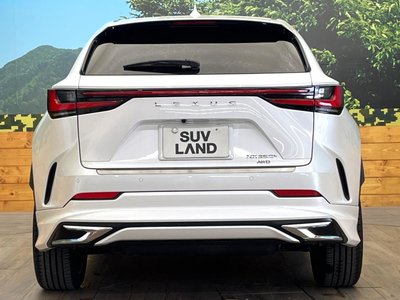 2023 Lexus NX — миниатюра 15