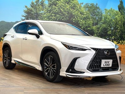 2023 Lexus NX — миниатюра 16