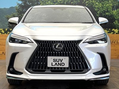 2023 Lexus NX — миниатюра 14