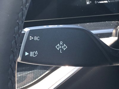2024 BMW X7 缩略图 58