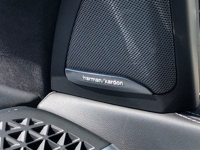 2024 BMW X7 缩略图 12
